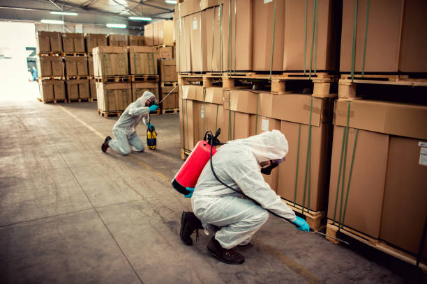 Professional Pest Control in Washington Terrace, UT
