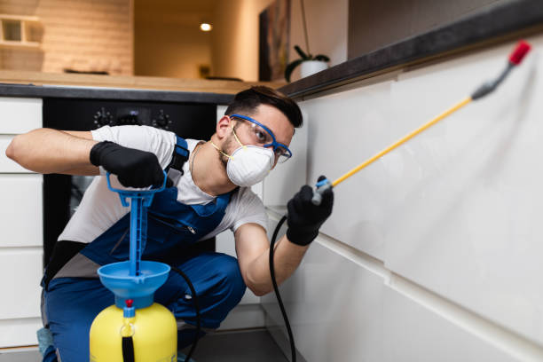 Best Wasp Removal Services  in Washington Terrace, UT