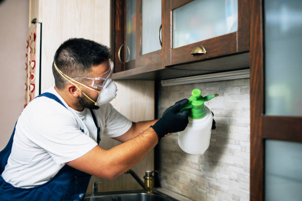 Best Pest Removal Services  in Washington Terrace, UT