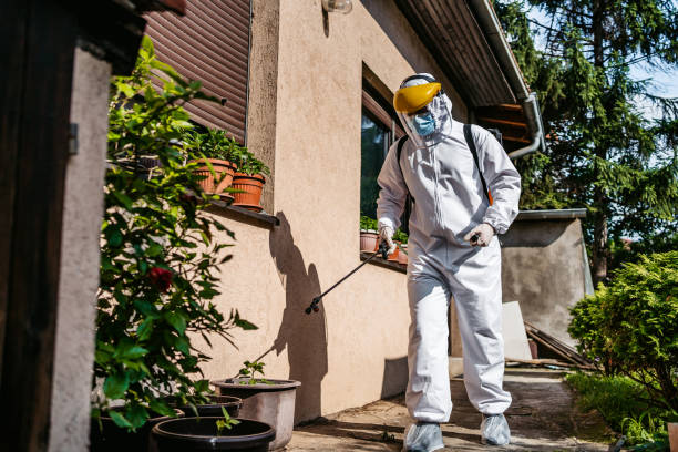 Best Emergency Pest Control  in Washington Terrace, UT