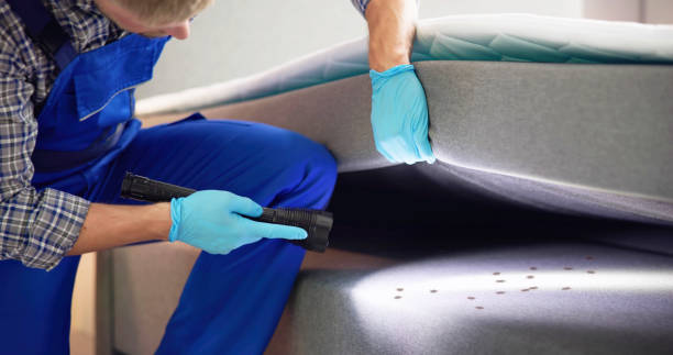 Best Ant Control Services  in Washington Terrace, UT