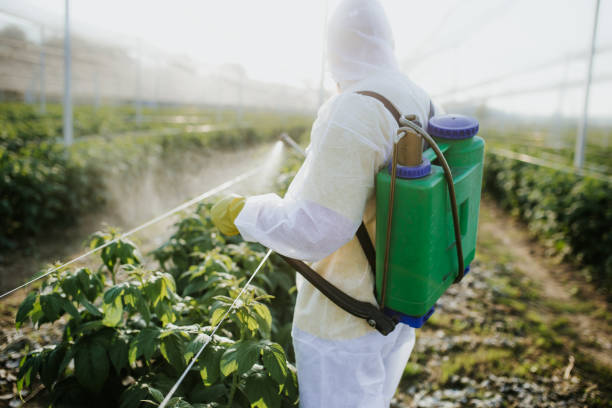 Pest Control for Restaurants in Washington Terrace, UT
